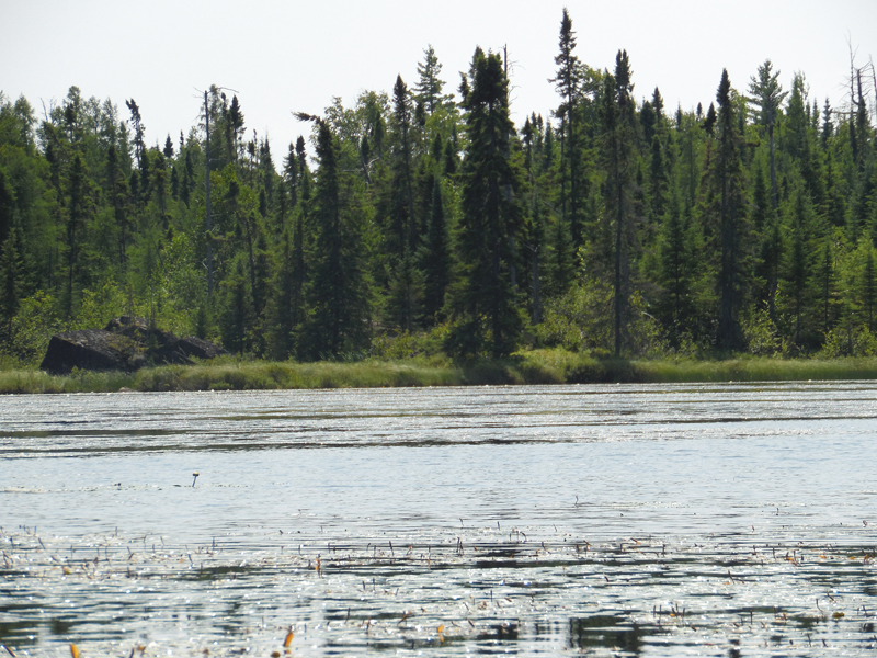 Reflection Lake in the BWCA